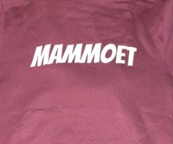 review-mammoet